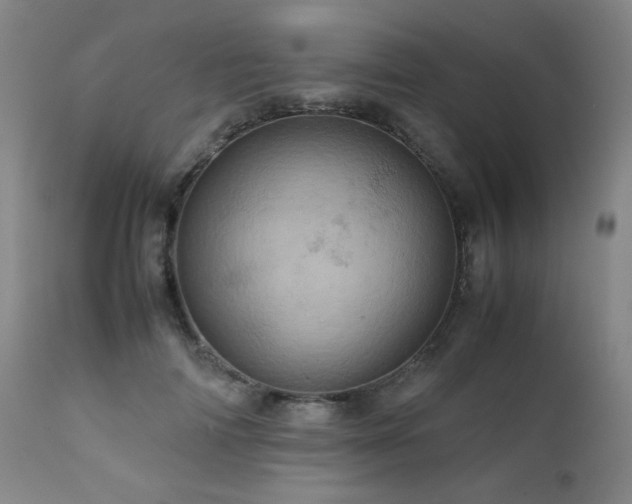 X0000111920698200907271249