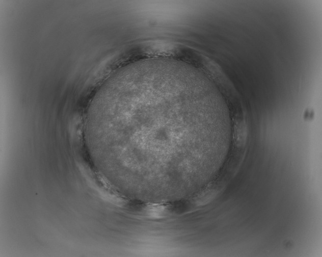 X0000111920701200907271249