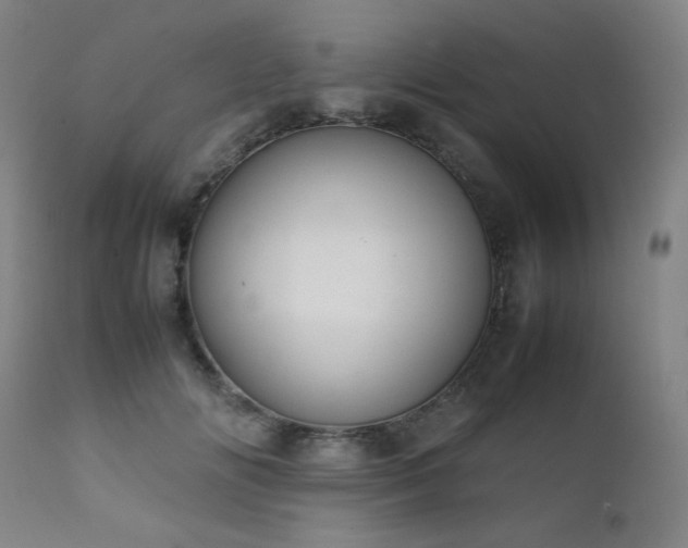 X0000111920702200907271249
