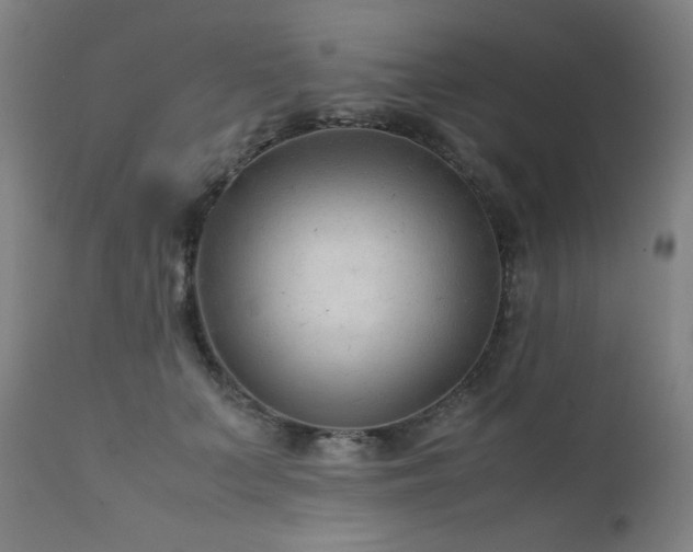 X0000111920703200907271249