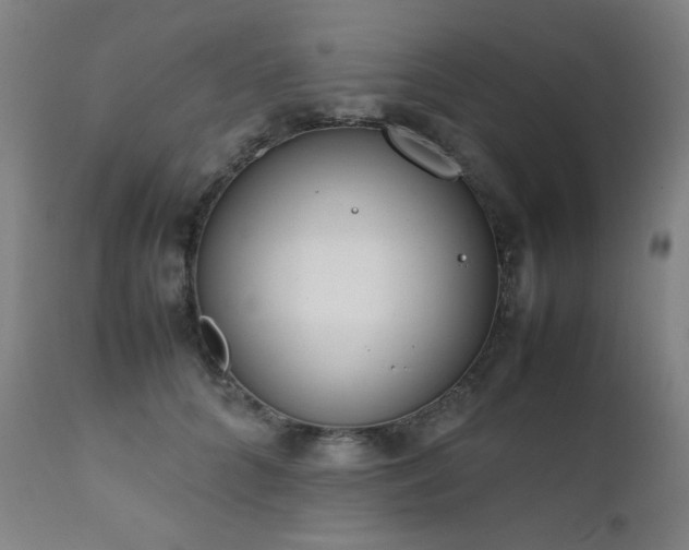 X0000111920704200907271249