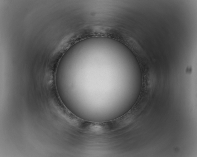 X0000111920706200907271249