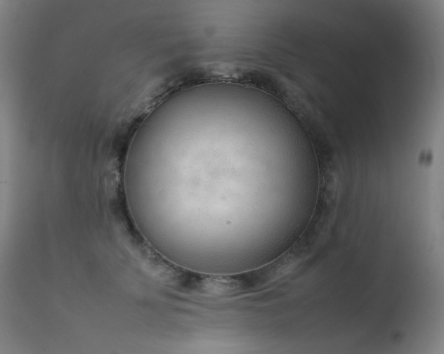 X0000111920707200907271249