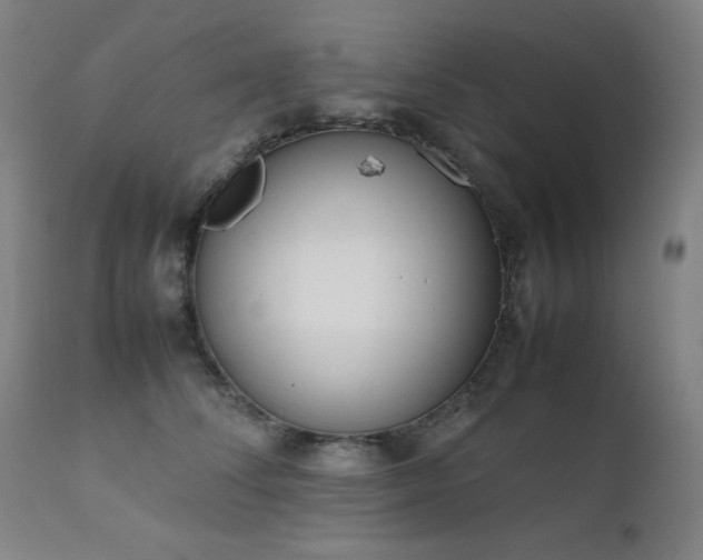 X0000111920708200907271249