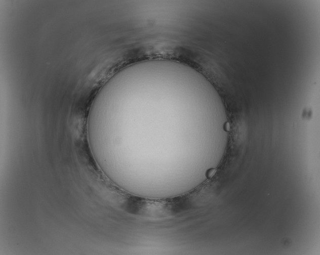 X0000111920709200907271249