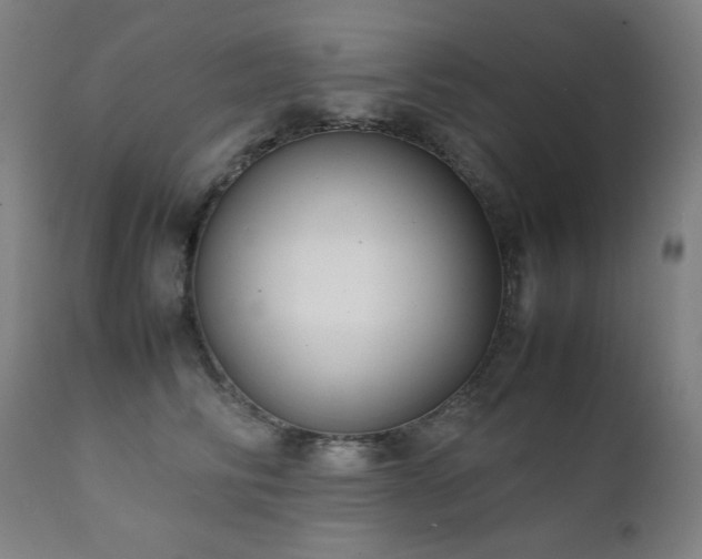 X0000111920710200907271249