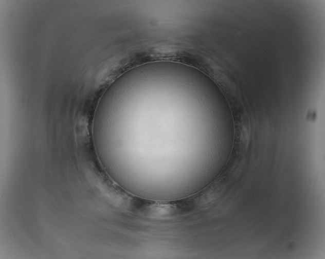 X0000111920711200907271249