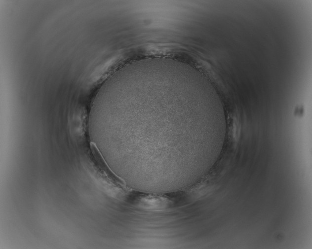 X0000111920712200907271249