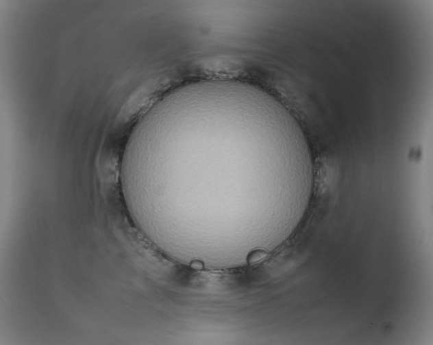X0000111920713200907271249