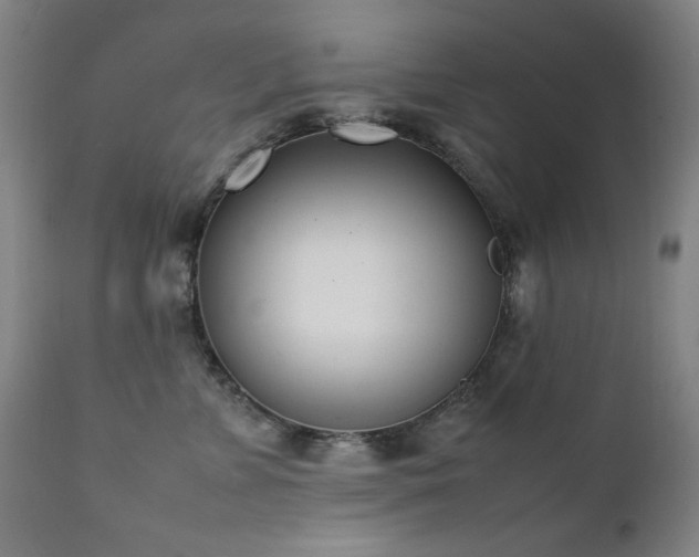 X0000111920715200907271249