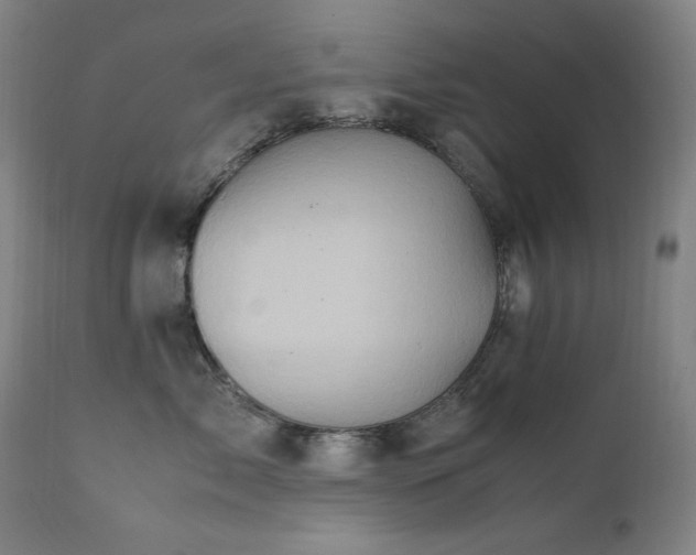 X0000111920717200907271249