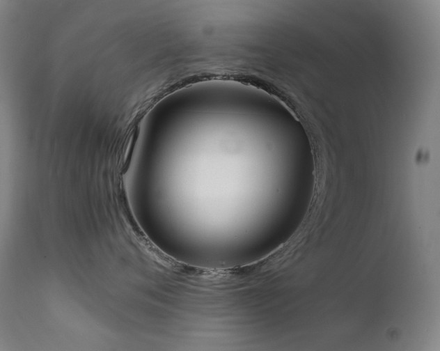 X0000111920720200907271249