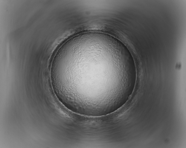 X0000111920721200907271248