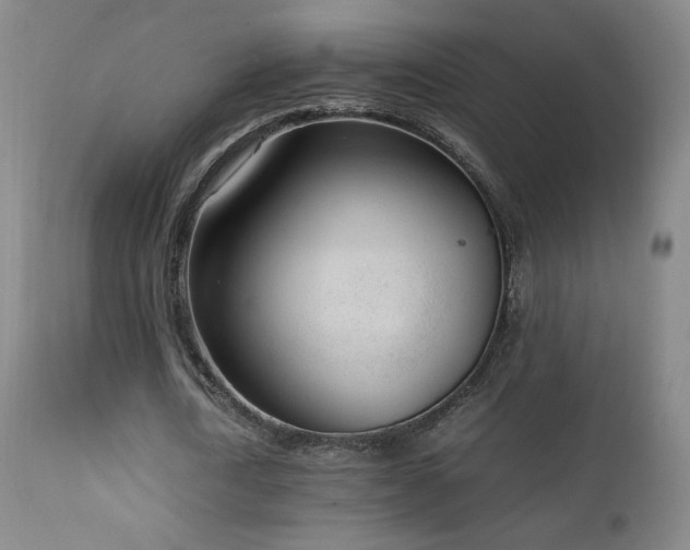 X0000111920722200907271248