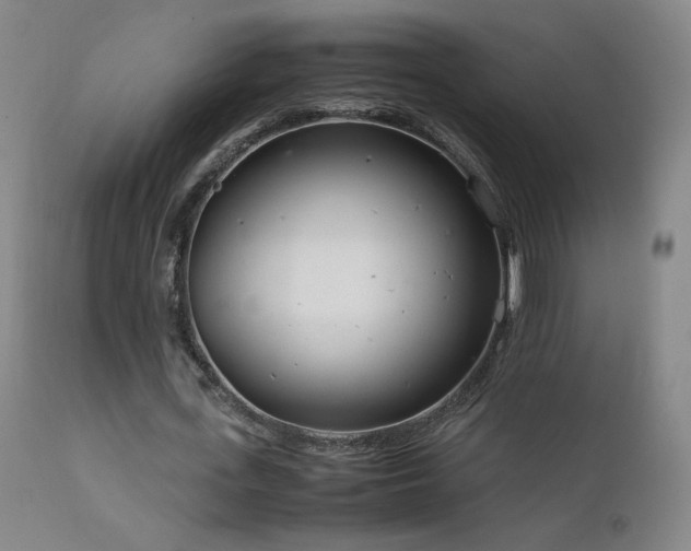 X0000111920723200907271248