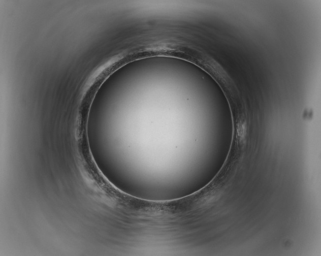 X0000111920724200907271248