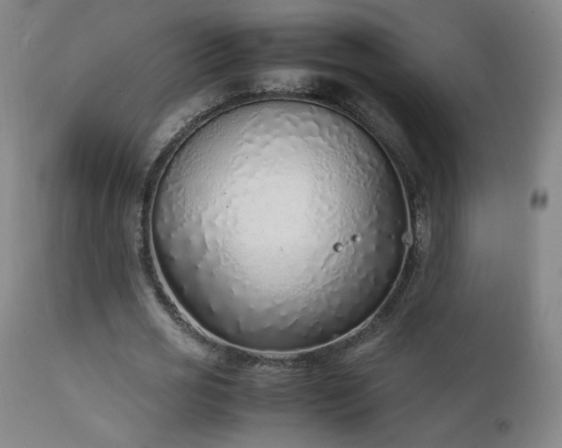 X0000111920725200907271248