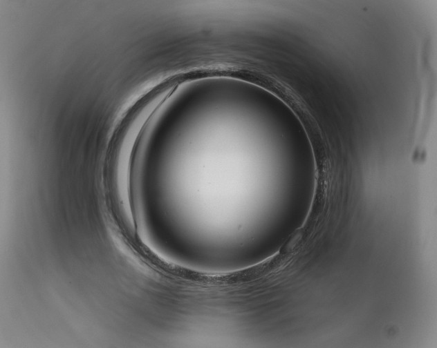 X0000111920726200907271248