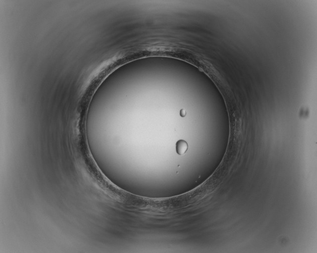 X0000111920727200907271248