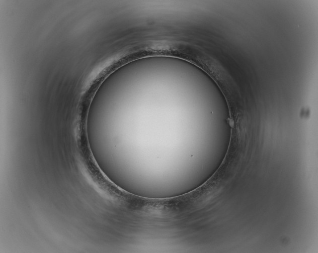 X0000111920728200907271248