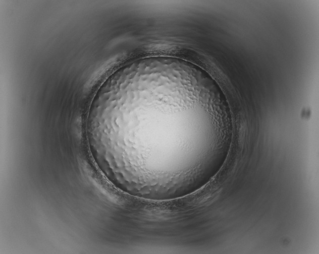 X0000111920729200907271248
