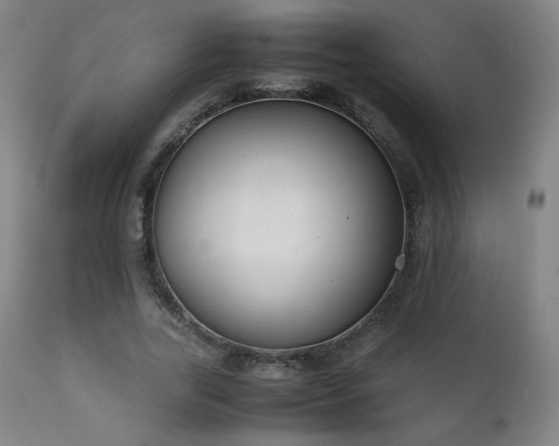 X0000111920731200907271248