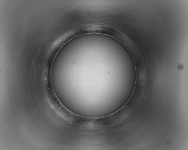 X0000111920732200907271248