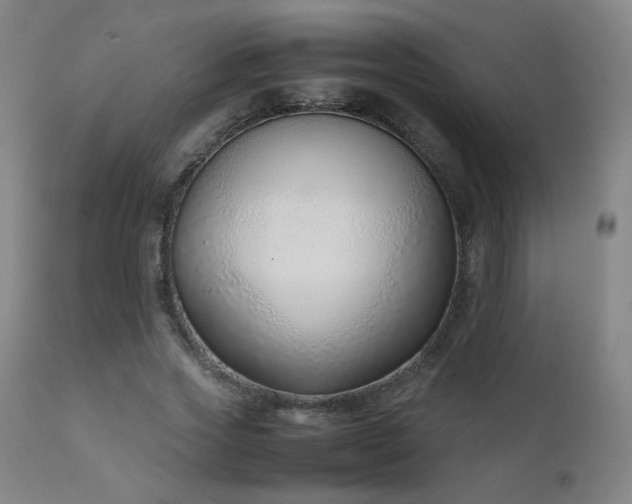 X0000111920733200907271248