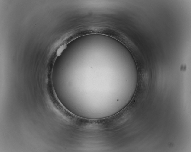 X0000111920734200907271248
