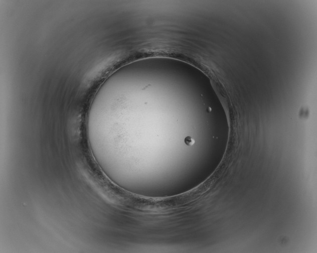 X0000111920735200907271248