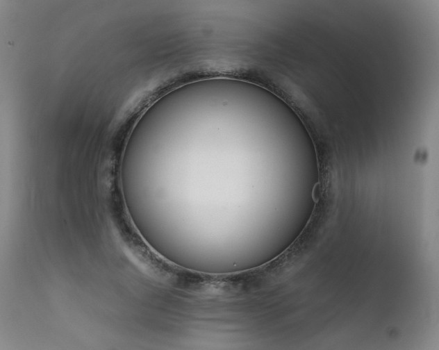 X0000111920736200907271248