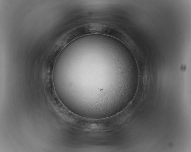 X0000111920737200907271248