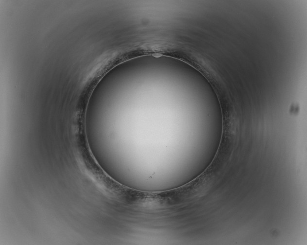 X0000111920738200907271248