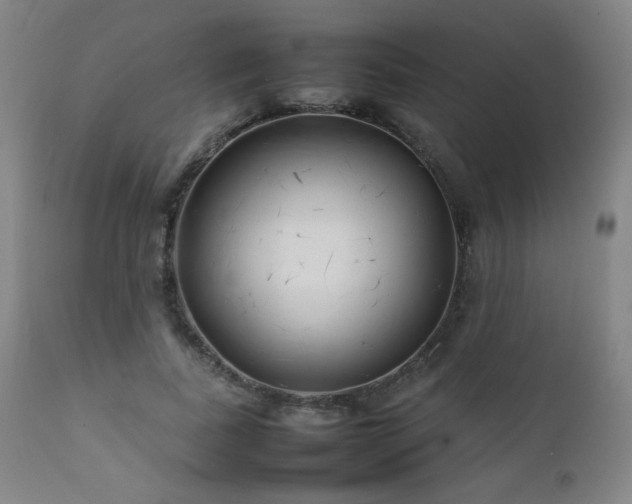 X0000111920739200907271248