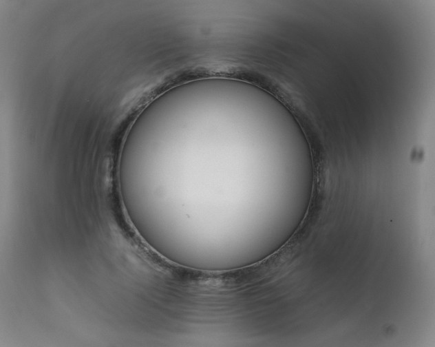 X0000111920740200907271248