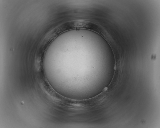 X0000111920741200907271248