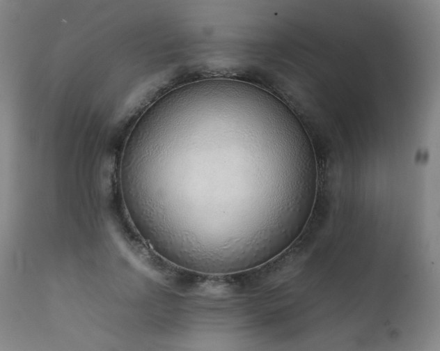 X0000111920742200907271248