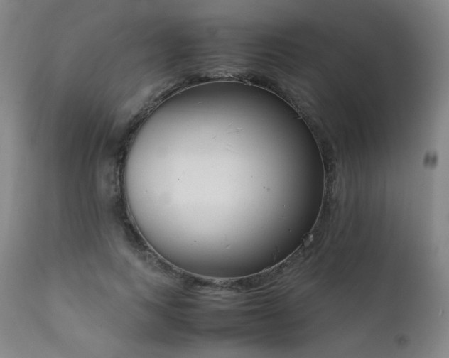 X0000111920743200907271248