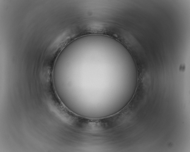 X0000111920744200907271248