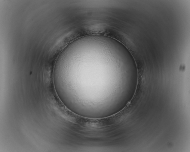 X0000111920745200907271248