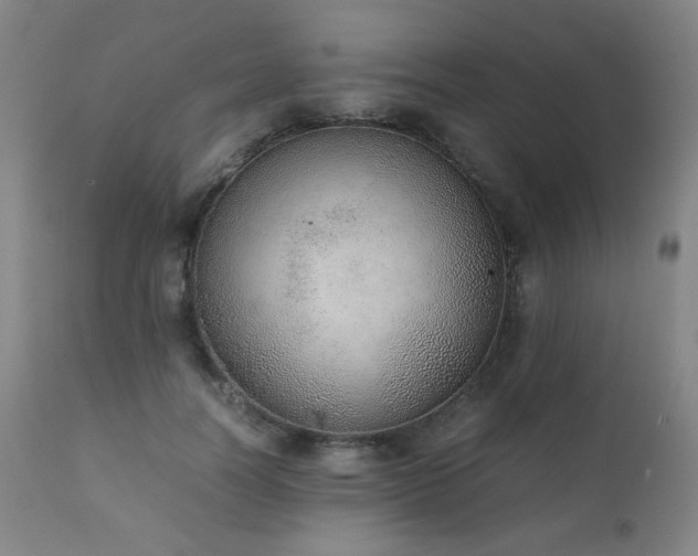 X0000111920746200907271248