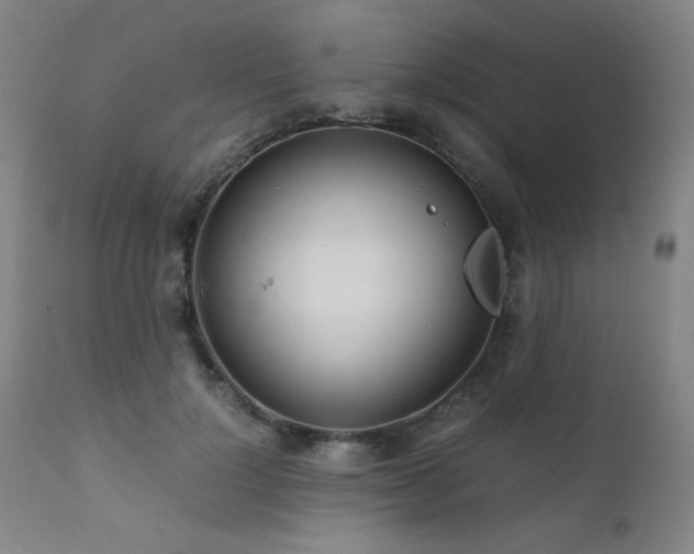 X0000111920748200907271249