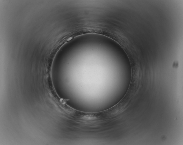 X0000111920749200907271249