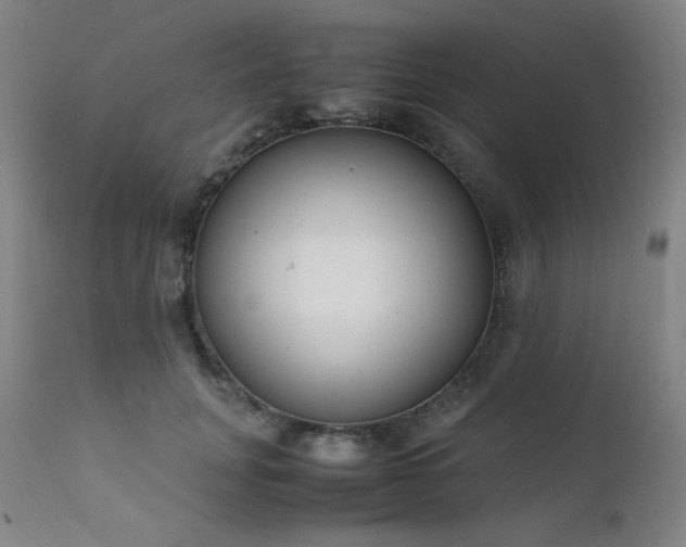 X0000111920751200907271249