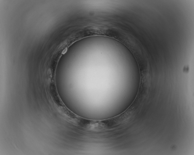 X0000111920752200907271249