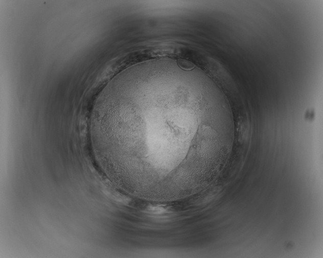 X0000111920753200907271249