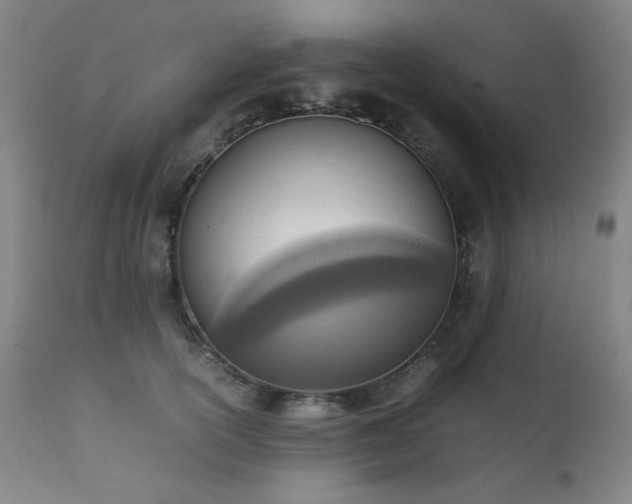 X0000111920754200907271249