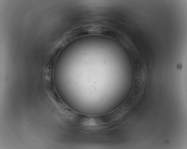 X0000111920755200907271249