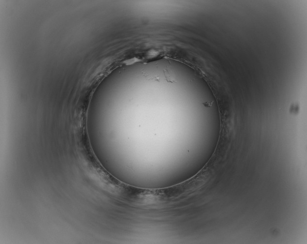 X0000111920756200907271249