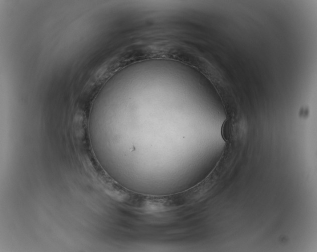 X0000111920757200907271249